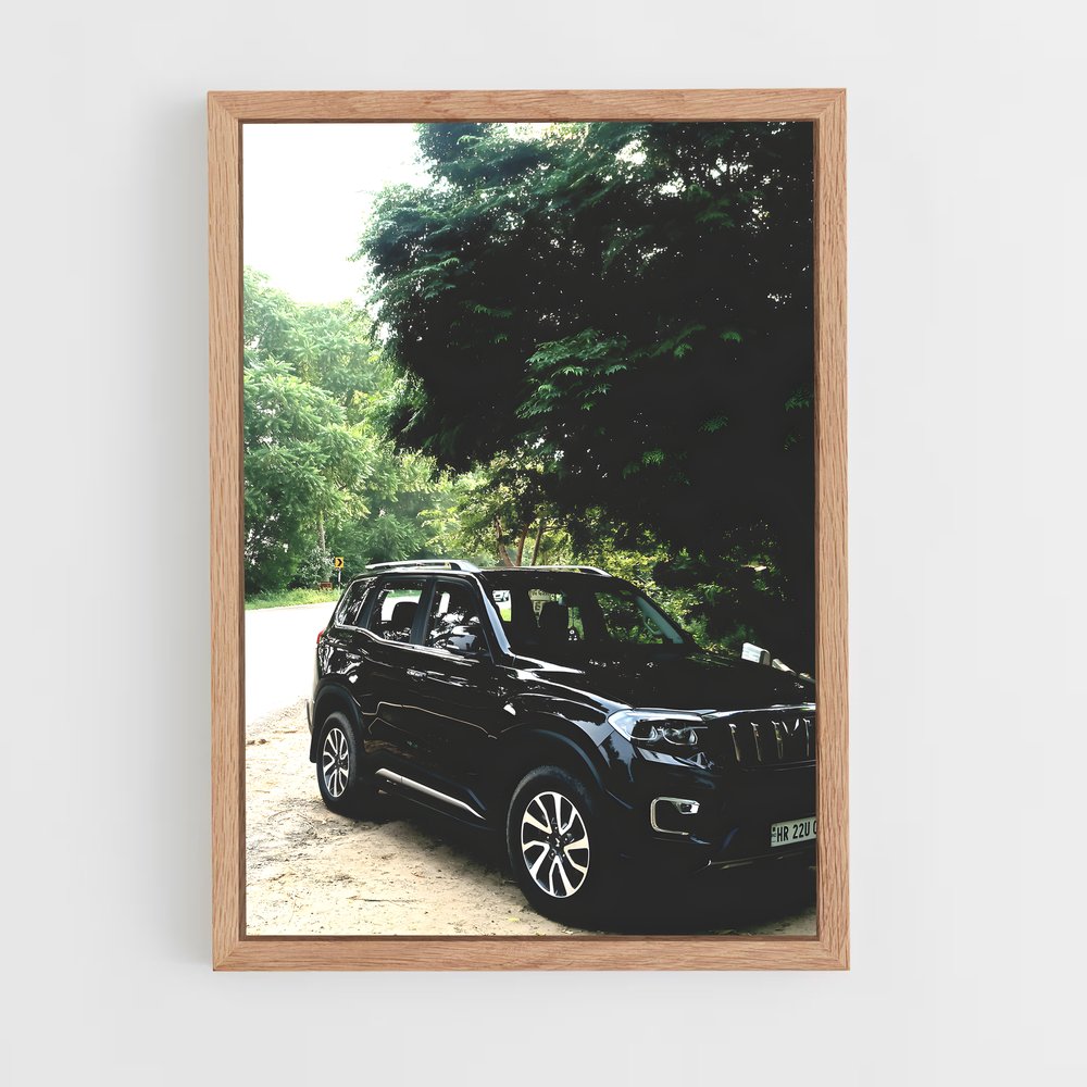Poster Noir de la Nuit – affiche Mahindra (vue 4)